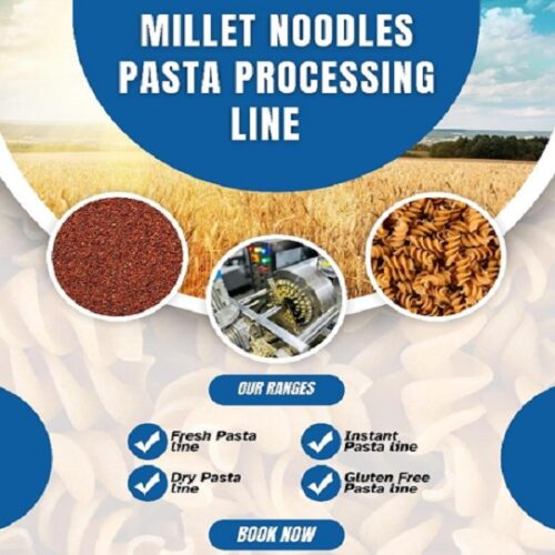 millet-noodles